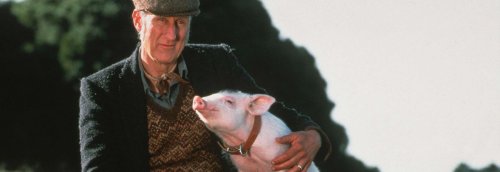 AFTRS 50th Anniversary Screenings Interview: Why Frazer Bull-Clark is playing the hits | SWITCH.