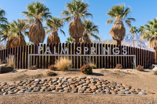 TOP Things To Do in Palm Springs (Perfect for First Timers!)