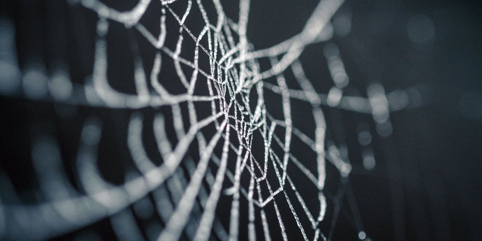 What Is the Dark Web, How Do You Reach It, and Is It Safe?
