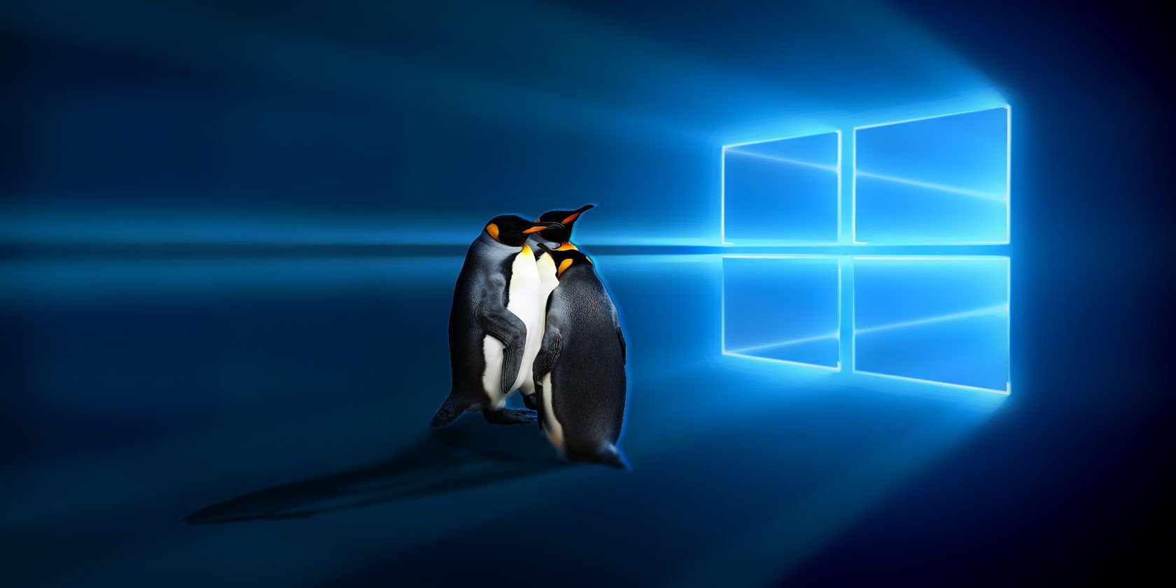 Top 7 Linux Operating Systems You Should Try in a Virtual Machine
