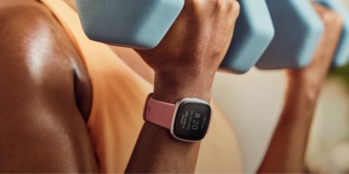 Are Fitbits Worth Buying?