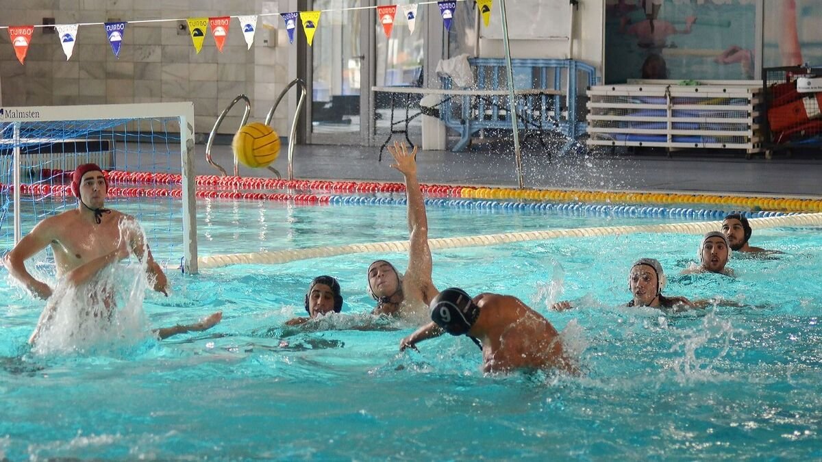 Noticias Natacion cover image