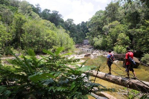 Endau Rompin National Park recognised as Asean Heritage Park, says minister