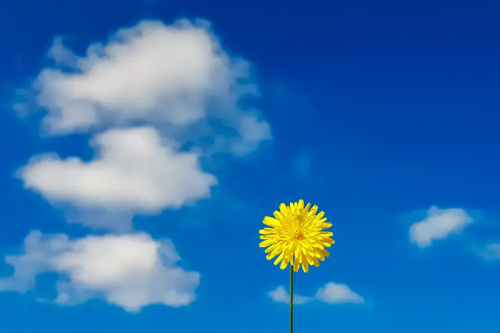 Mallorca im Frühling: Aktivurlaub bei milden Temperaturen