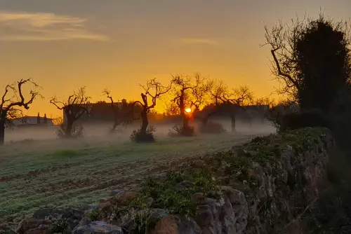 Zum Sonnenaufgang auf Mallorca: Die 9 besten Spots