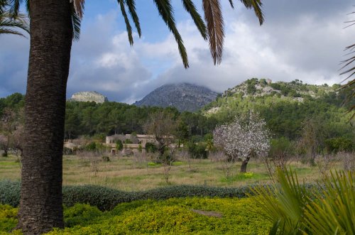 Mandelblütenwanderung nach Es Capdellà | Mallorca für Kinder