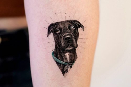 50 Dog Tattoo Ideas for the Perfect Pet Portrait