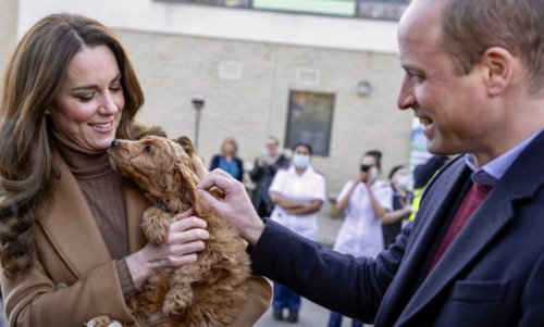 Kate Middleton And Prince William Drop New Detail About Their New Family Dog