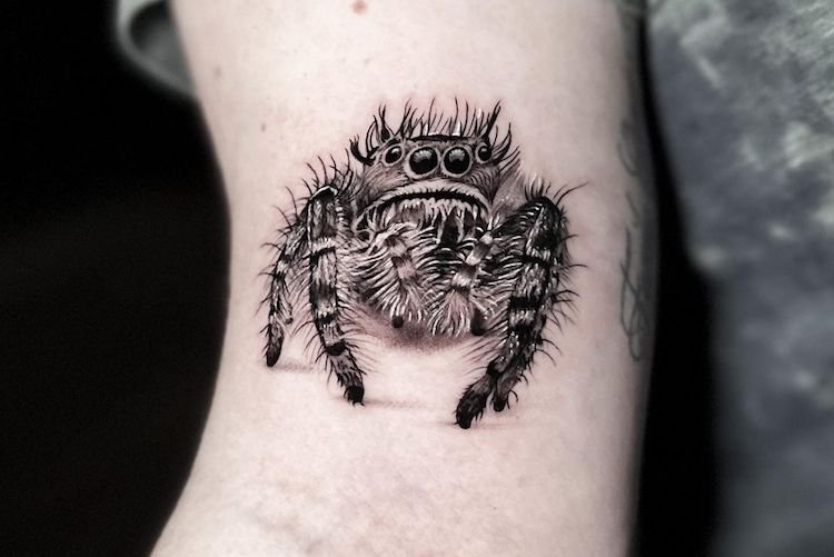 Leah Samuels on Instagram Lil jumping spider on Nikos hand So cute   Thank you for the trust  Done at howdyla     jumpingspider  jumpingspidertattoo