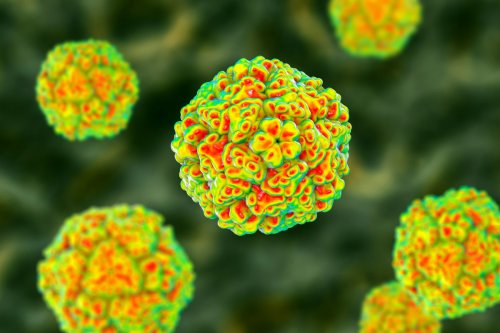 Everything Parents Need to Know About Enterovirus 2022, the Latest Virus to Hit the US