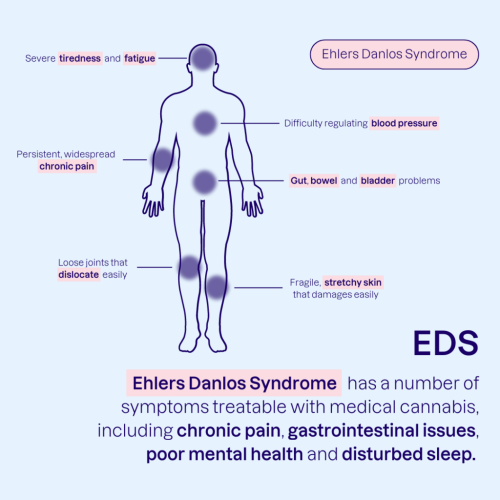 How can medical cannabis help manage Ehlers-Danlos syndrome?