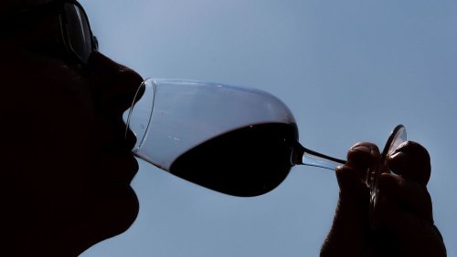 Absatzprobleme: Frankreich nimmt 2,5 Millionen Hektoliter Wein vom Markt
