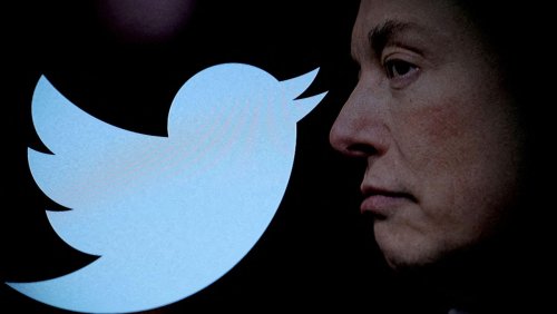 Rücktritt nach wenigen Monaten: Twitters Chefin für Content-Moderation verlässt Elon Musk