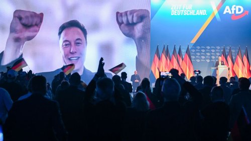 Tesla-Chef: Musk profitiert von EU-Geldern in Millionenhöhe
