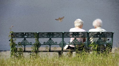 Ringen um die Rente: Beamtenbund stellt sich gegen Rentenforderung von Arbeitsministerin Bas