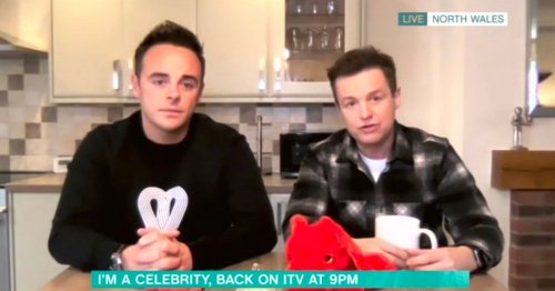 Dec steps in over Ant's remark about ITV I'm A Celebrity star