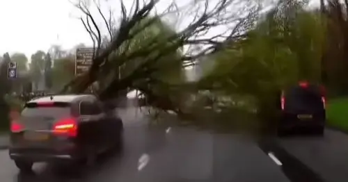 Horrifying moment huge tree comes crashing down and almost SMASHES cars in Manchester