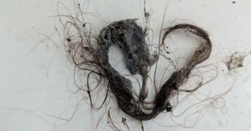 'I followed plumber's advice to unblock drains fast with one simple item and it worked wonders'