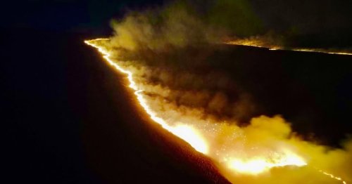 It's only April, but 2025 is already the UK's second worst year on record for wildfires