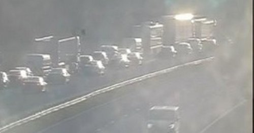 M56 LIVE as 'police incident' shuts road near Chester Zoo in both directions