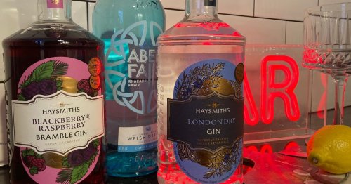 'I compared Aldi's award-winning £15 gins to a premium £31 bottle to see if they're worth the hype'