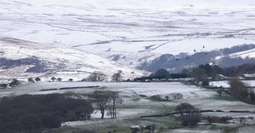 Forecasters say snow could arrive next week as temperatures fall