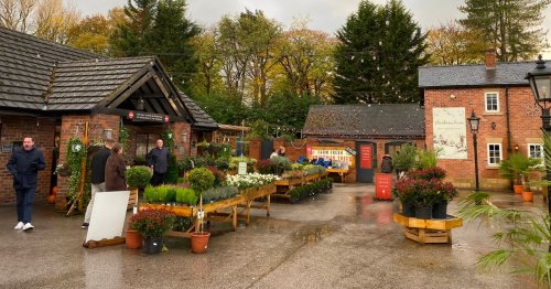 The story behind the incredible '£50 farm shop' that sees customers queuing out the door