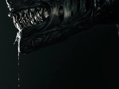WATCH: ‘Alien: Romulus’ Looks Like the Terrifying Sequel We’ve Been Waiting For