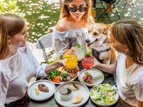 15 Best Bottomless Brunch Spots in Sydney