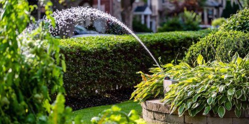 Four Techy Watering Systems for Your Lawn and Garden