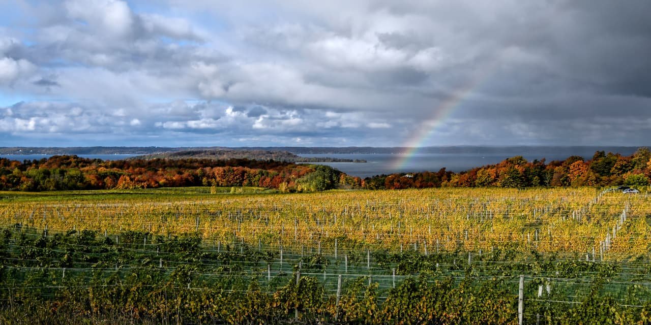 5 Under-the-Radar Wine Regions Where Vineyards Are an Affordable Luxury