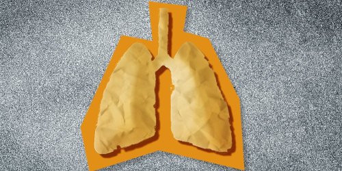 Cancer du poumon : des chercheurs créent "un système de prédiction du risque" pour prévenir la maladie chez les non-fumeuses