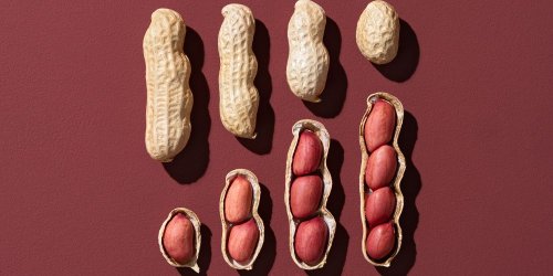 Manger des cacahuètes favorise une bonne santé cardiovasculaire