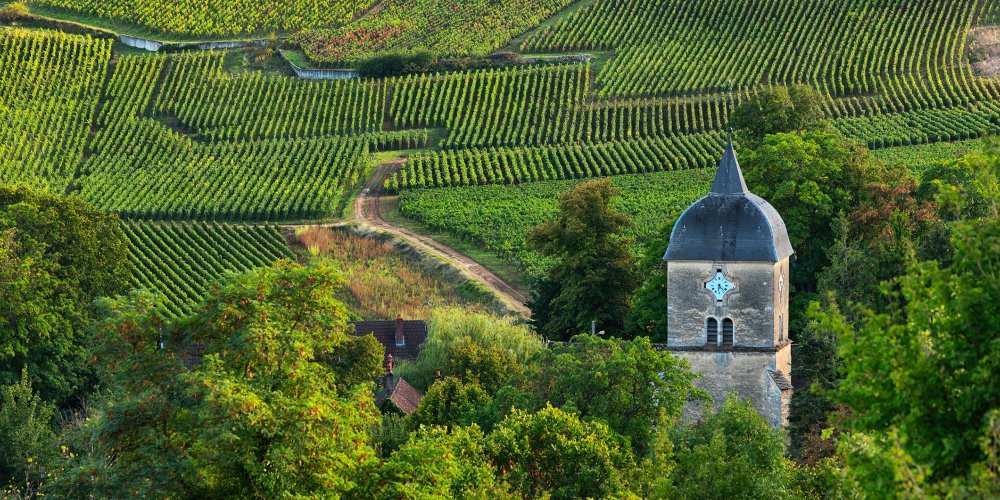 Entre Beaune et Dijon, ce village viticole est une halte idéale lors d’un séjour en Bourgogne