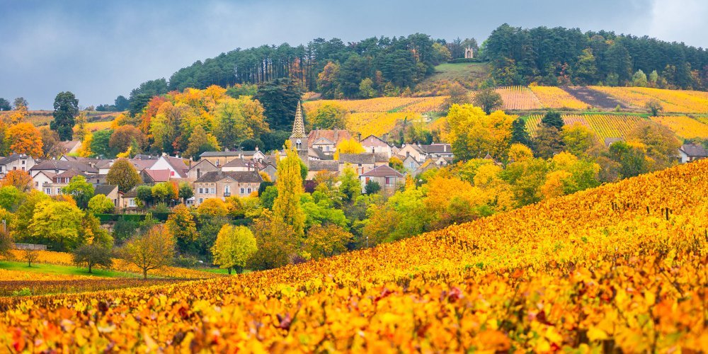 Mondialement connu pour son vin, ce village proche d’Auxerre charme avec sa culture authentique