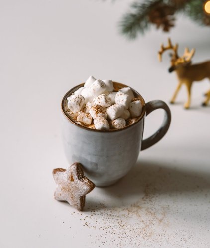 Lait de poule au chocolat