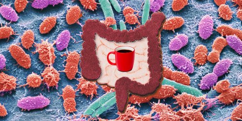 Voici comment boire régulièrement du café peut faire du bien à notre microbiote