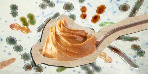 Manger deux cuillères de beurre de cacahuète par jour garderait notre microbiote intestinal en bonne santé