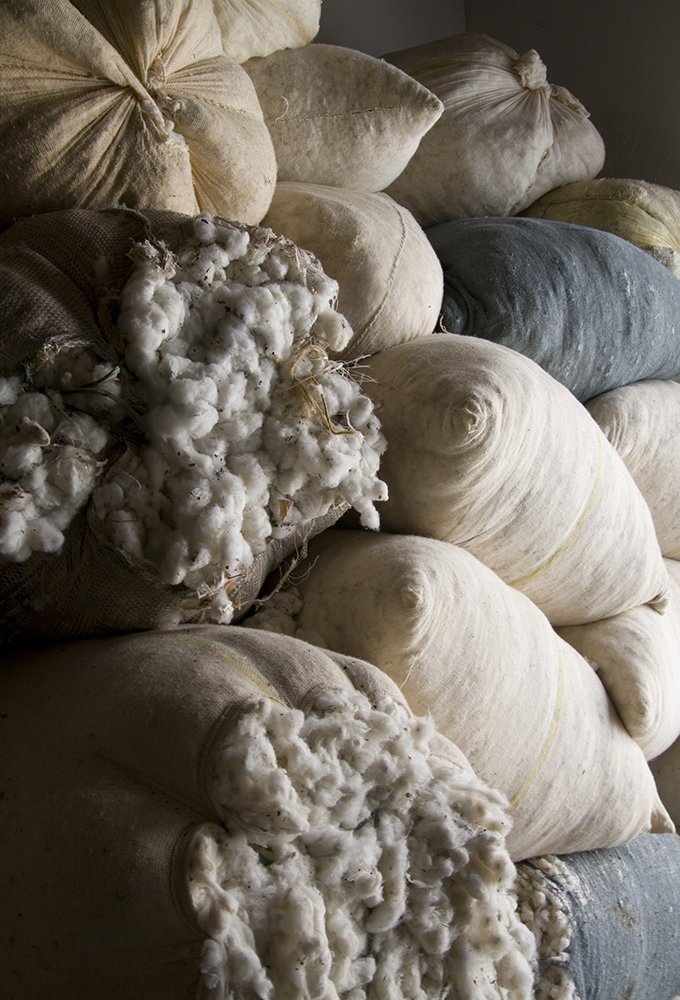 Toutes les baskets Veja contiennent du coton bio : voici comment la marque a réussi à rendre son approvisionnement vertueux