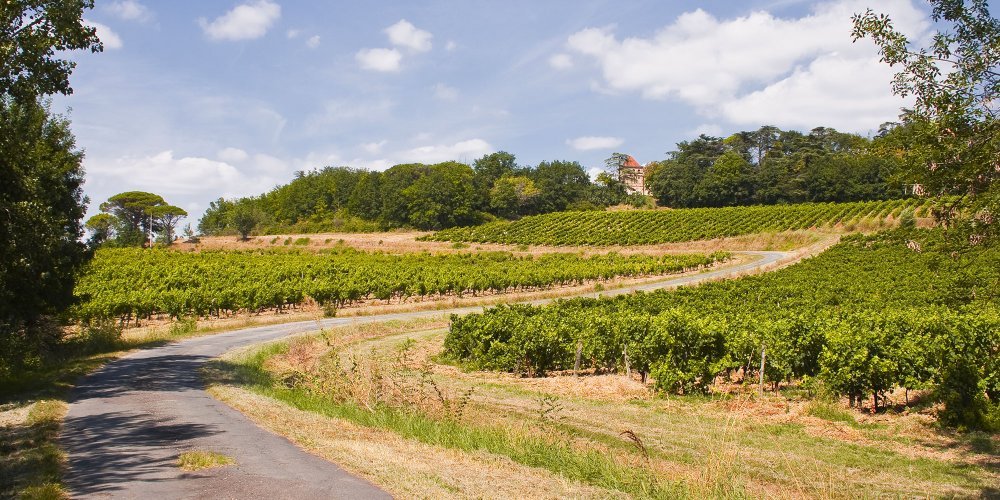 Sur la route du Tour de France : Fronton, un vignoble deux fois millénaire idéal pour les amateurs de vins et terroirs authentiques