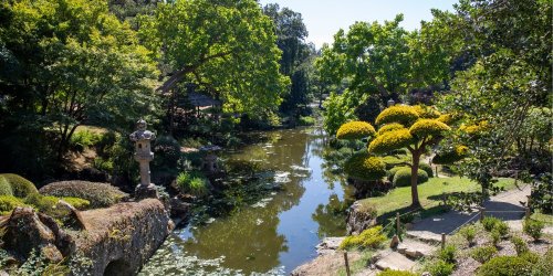 Dans le Maine-et-Loire, ce sublime jardin japonais est l’endroit idéal pour observer la floraison des cerisiers