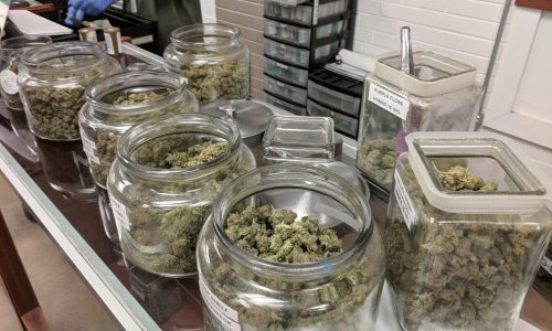 Marijuana Industry ‘Will Continue To Grow,’ Federal Economic Panel Says While Recommending Classification Changes