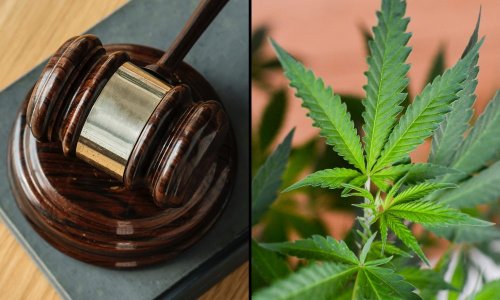 Marijuana Companies Ask Federal Court To Set Oral Arguments On DOJ Claim That Cannabis ‘Tourism’ Justifies Prohibition Enforcement