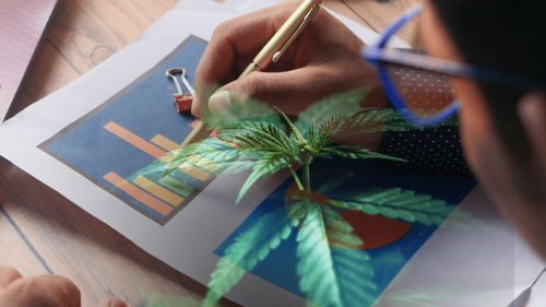 Best Canadian Marijuana Stocks for U.S. Market Exposure