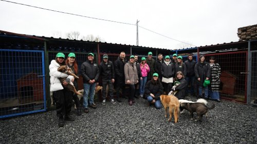 ON Dijital Bankacılık’tan 3. yılında anlamlı proje: Pati Dostları