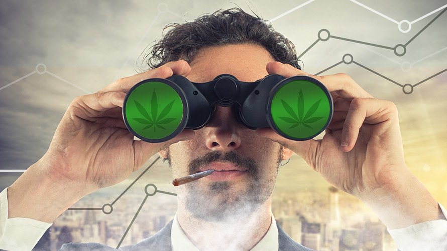 Cannabis cover image