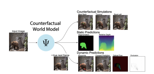 Stanford Researchers Introduce CWM (Counterfactual World Modeling): A Framework That Unifies Machine Vision