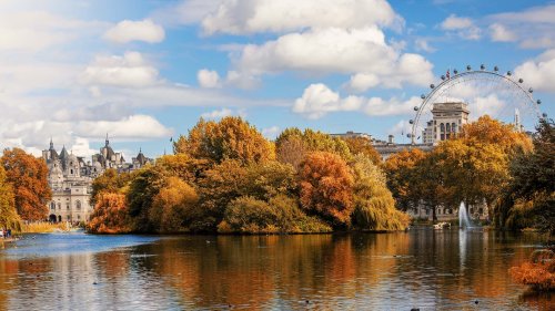 Colors, Cocktails and Celebrations: Spend the Perfect Autumn in London