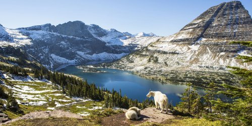 Road Tripping Montana and Wyoming's National Parks on a Budget