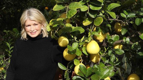 Martha Shares Her Favorite Tea Recipe for Fighting a Cold